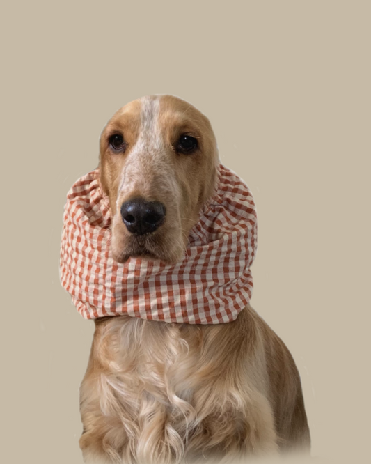 Snood Chien Coton Vichy Beige-Rouge - Fait Main France
