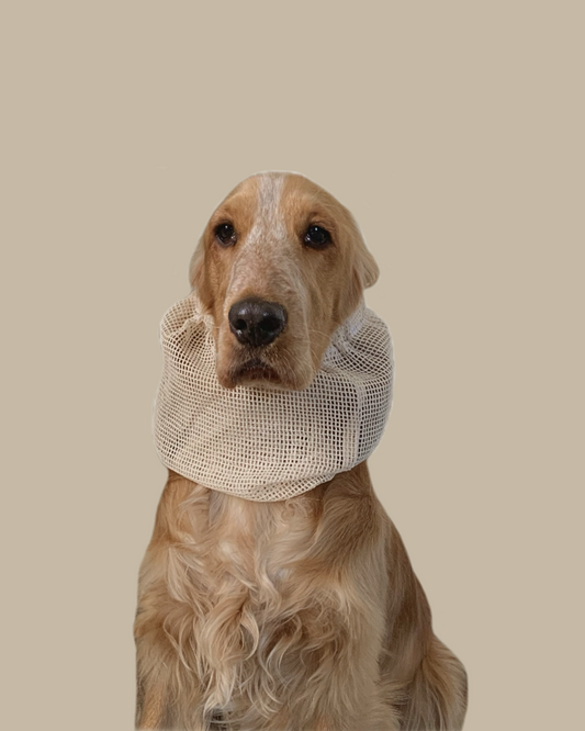 Snood Chien Maille Légère - Fait Main France
