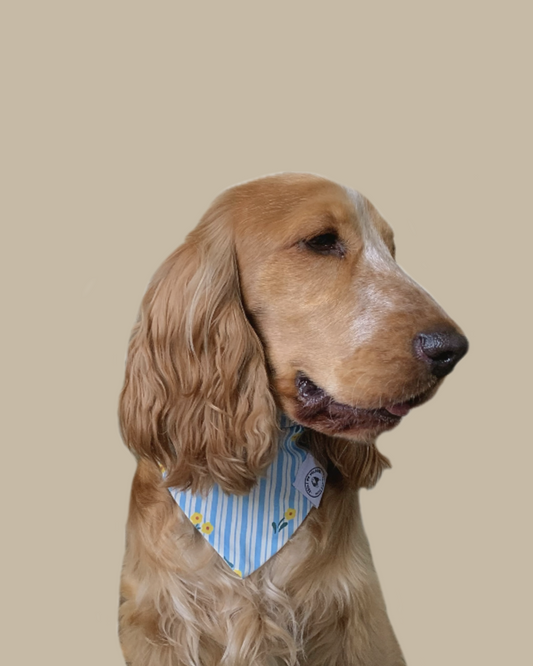 Bandana Chien Coton Rayure Bleue - Fait Main France