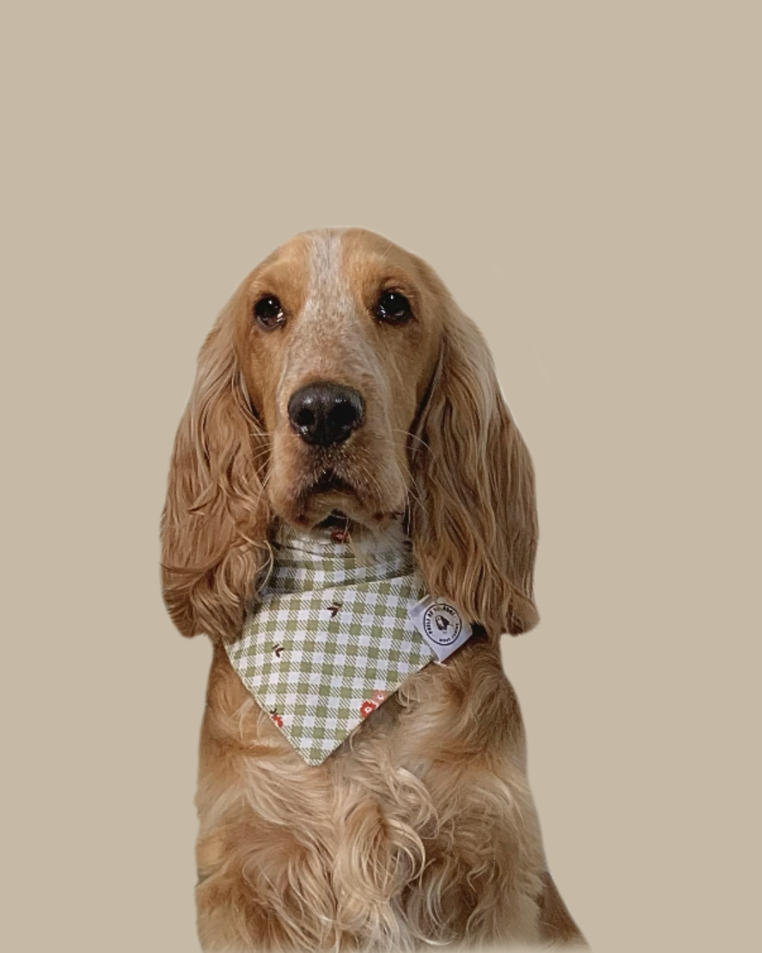 Bandana Chien Coton Vichy Fleuri - Fait Main France