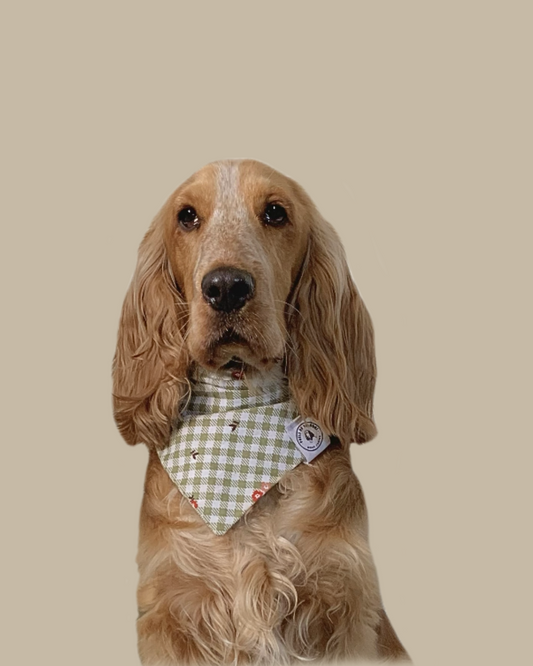 Bandana Chien Coton Vichy Fleuri - Fait Main France