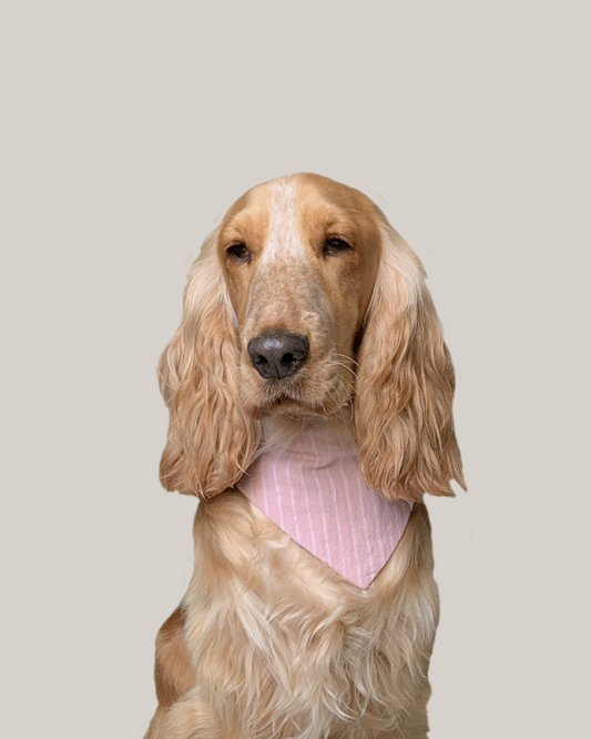 Bandana Chien Rose - Fait Main France