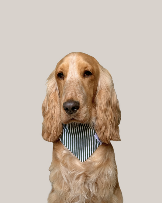 Bandana Chien Vert - Fait Main France