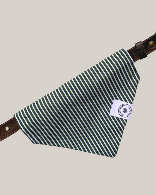 Bandana Chien Vert - Fait Main France