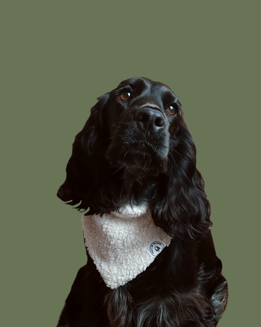 Bandana Chien Mouton - Fait Main France