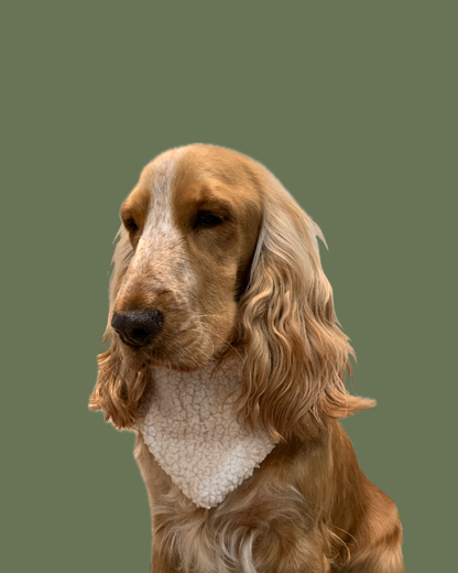 Bandana Chien Mouton - Fait Main France