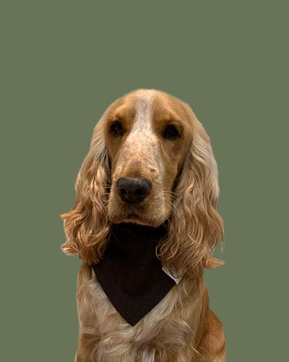 Bandana Chien Velours Brun - Fait Main France