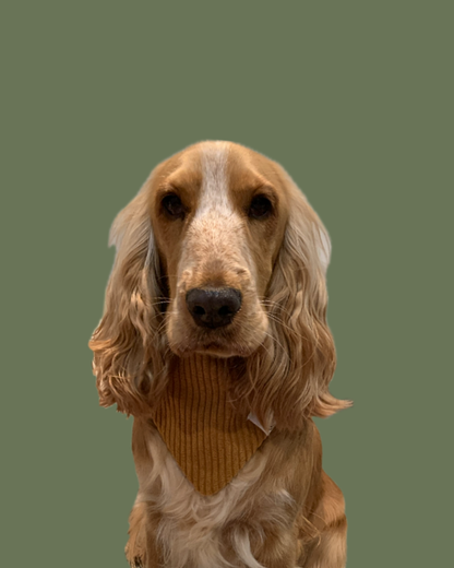 Bandana Chien Velours Camel - Fait Main France