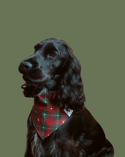 Bandana Chien Noël - Fait Main France