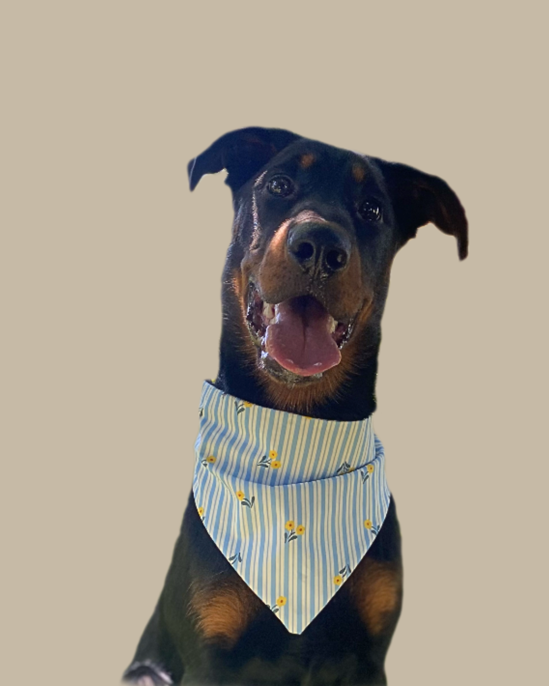 Bandana Chien Coton Rayure Bleue - Fait Main France